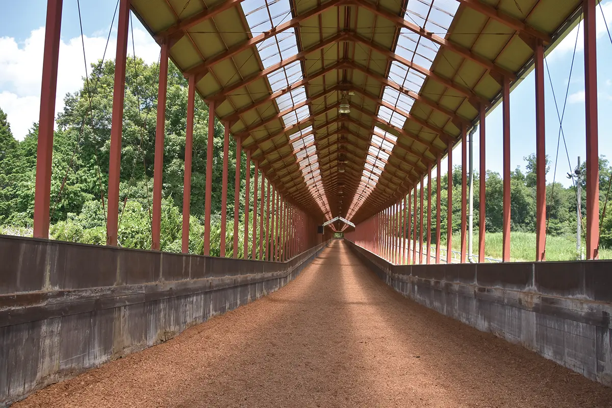 屋根付坂路