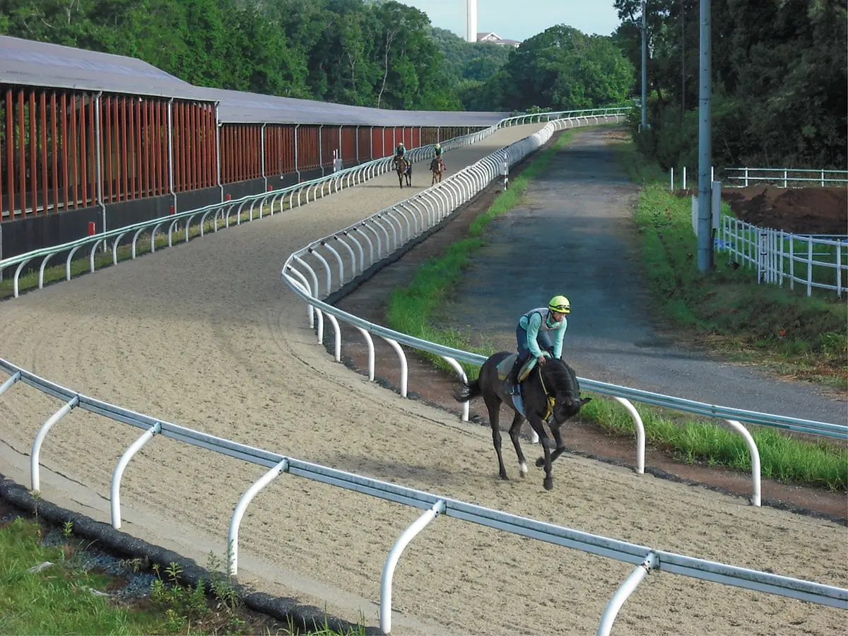 ポリトラック馬場