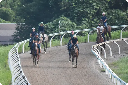 競走馬の調教