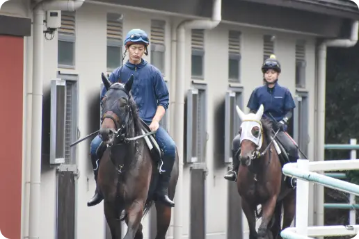 競走馬の調教